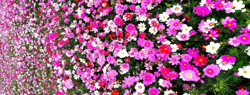 714dc66a-a365-4a38-b08f-22d3681c2ffe.png